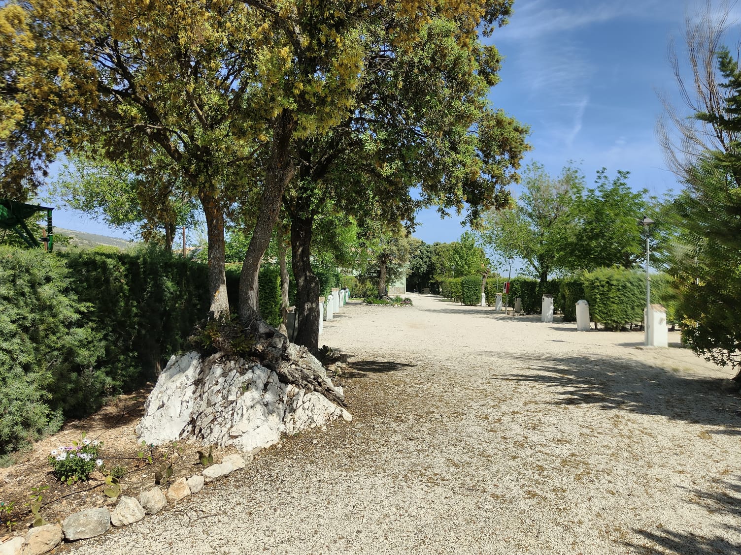 Calle del camping con mucha sombra natural, parcelas equipadas con toma de luz y grifo de agua en Camping El Cantonet, Albanchez de Mágina (Jaén)
